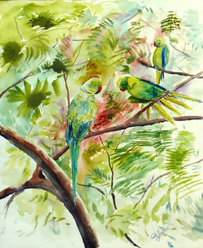 Parrot love
